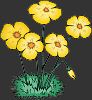 yellow flowers